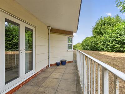 Picture 20